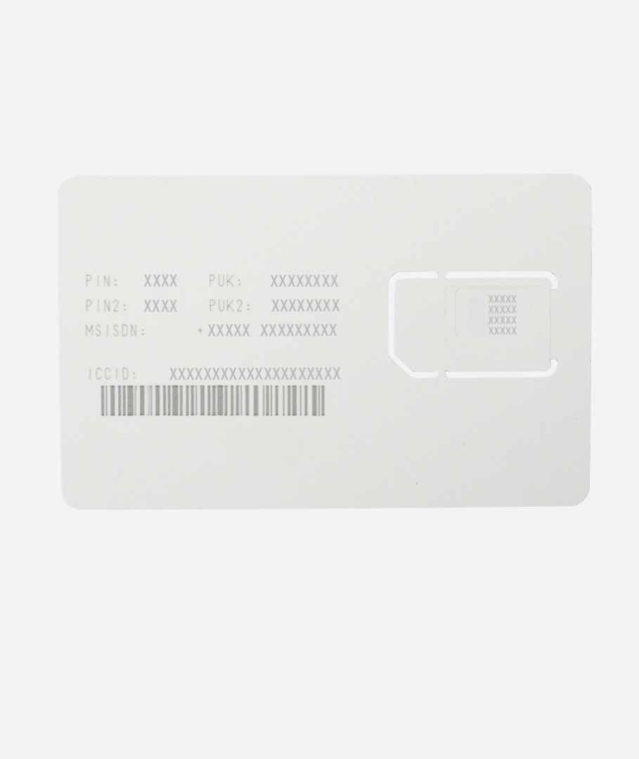 SIM Card – Telcel